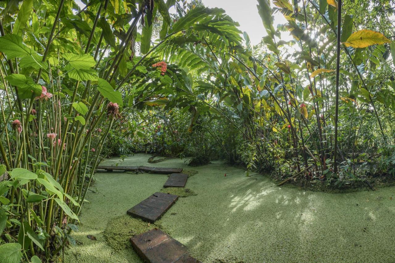 Апарт отель Cabanas Del Rio Ла Фортуна Экстерьер фото